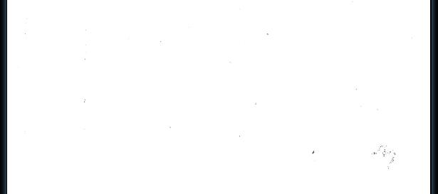 CCF0420201000021